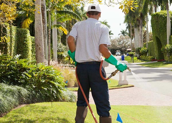 About Randolph TX Pest Control